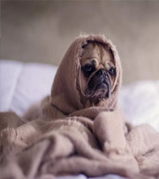 丽水有这样的手机号码，留不住钱，你中枪了吗？