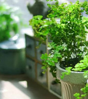 丽水专属于你的开运指南，助你鸿运当头福满身！