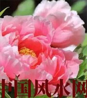 丽水预示你财运上升，姻缘可成的梦境，快来看看吧！