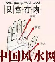 丽水这个地方肉越多，财运就越好