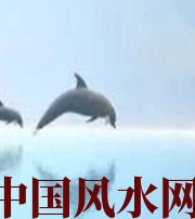 丽水做梦梦到这些，是要富裕的征兆！